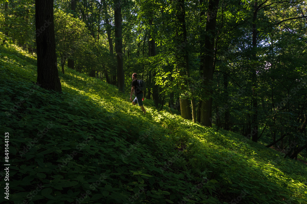 Man walking to hill in green summer forest. Czech landscape trip background