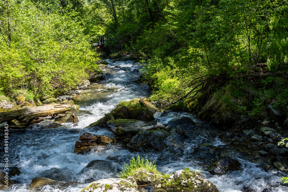 Fototapeta premium summer panoramic landscape of mountains and forest and waterfall against the sky in the area of ​​Lake Teletskoye in Altai
