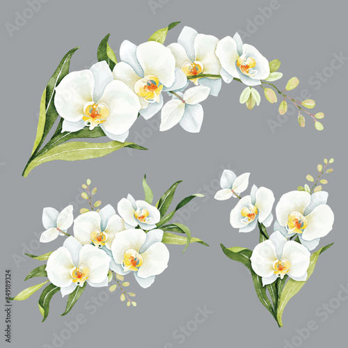 Elegant watercolor white orchid illustration © Waratchada