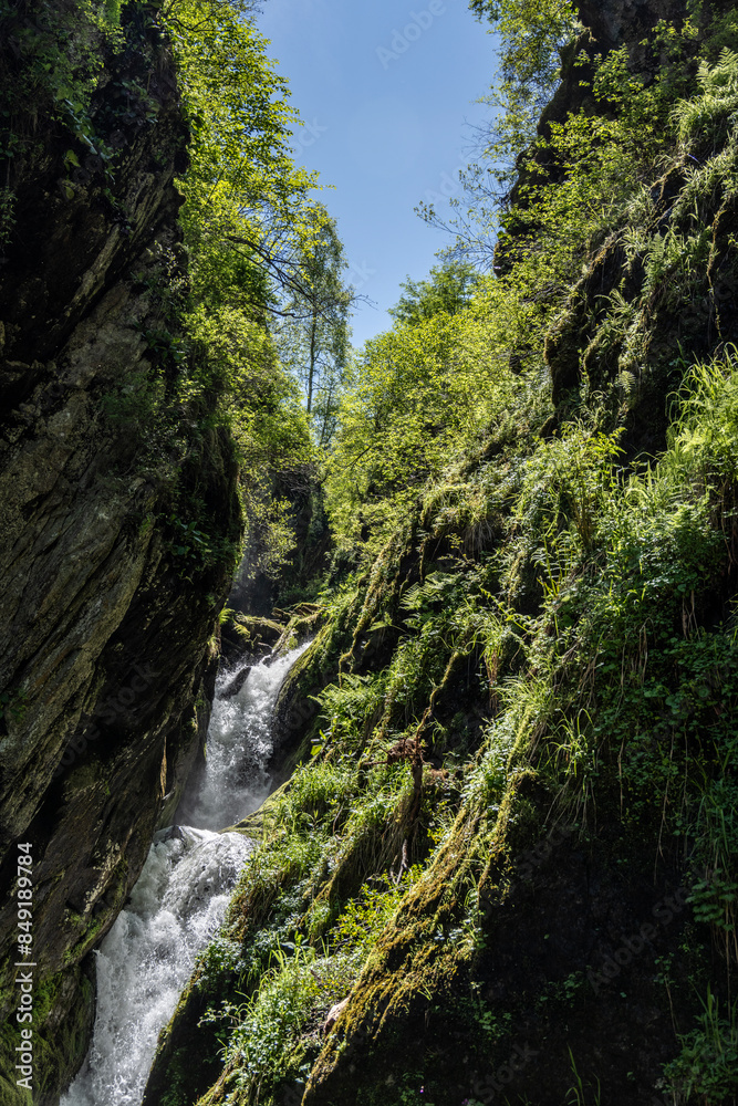 summer panoramic landscape of mountains and forest and waterfall against the sky in the area of Lake Teletskoye in Altai summer panoramic landscape of mountains and forest and waterfall against the sky in the area of Lake Teletskoye in Altai