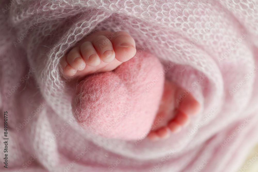 The tiny foot of a newborn baby. Soft feet of a new born in a wool pink blanket. Closeup of toes, heels and feet of a newborn. Knitted pink heart in the legs of baby. Macro studio photography. The tiny foot of a newborn baby. Soft feet of a new born in a wool pink blanket. Closeup of toes, heels and feet of a newborn. Knitted pink heart in the legs of baby. Macro studio photography.