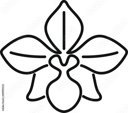 Simple line art icon of an orchid flower blooming photo