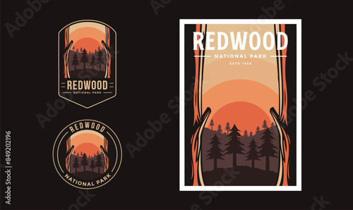Set of Redwood National Park graphic illustration badge poster vector