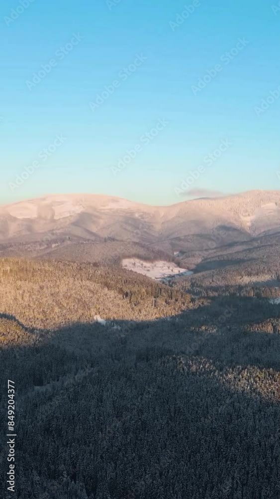 Aerial view of beautiful snow forrest during winter Aerial view of beautiful snow forrest during winter