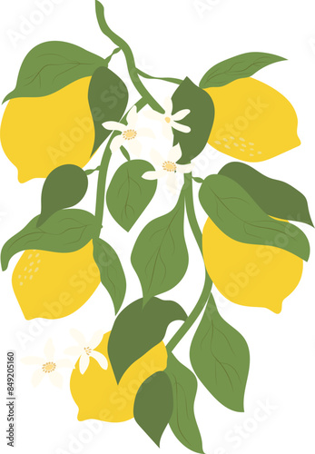 Lemon branch for different use purposes. Retro groovy lemons and leaves clipart. Aesthetic citrus fruit vector illustration.