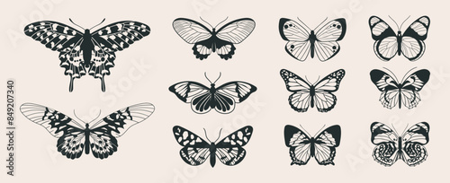 Collection of various tropical butterflies, top view. Drawn by hand using ink.