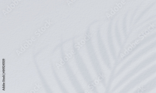 パームリーフの影。夏をイメージした背景素材。