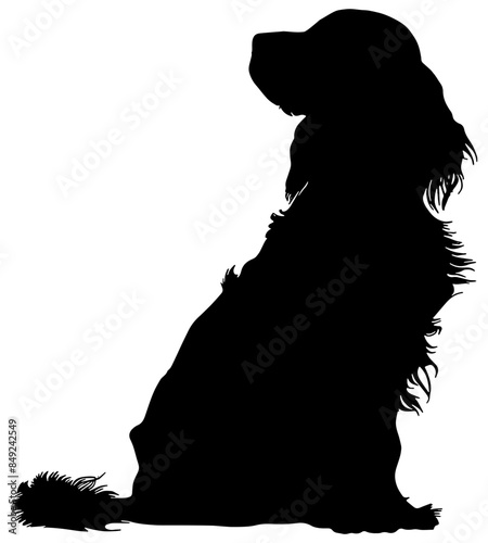 Silhouette of a spaniel dog in black, isolated 
