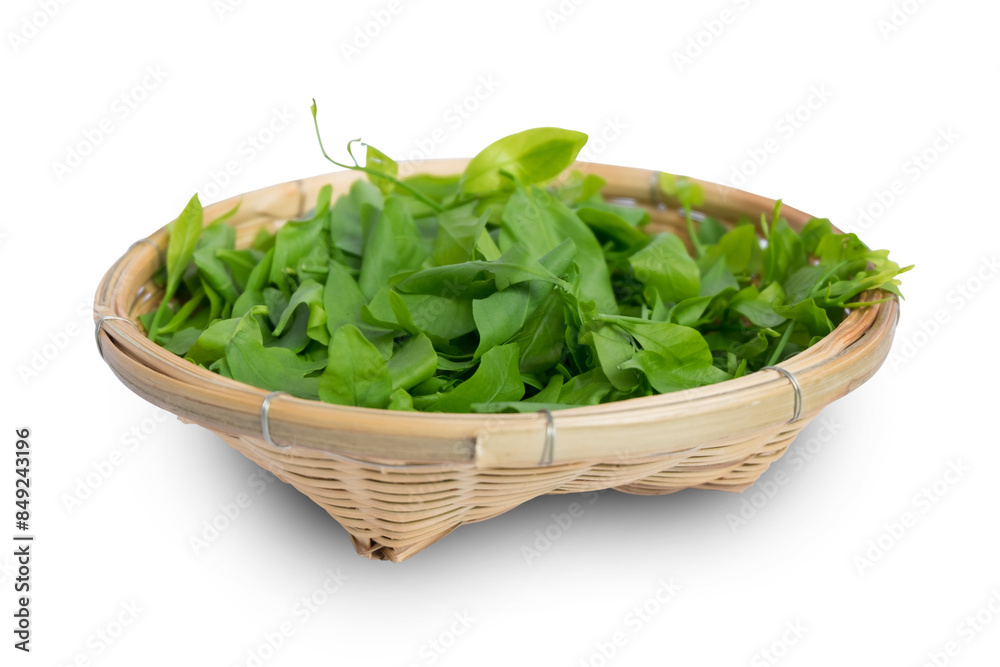 Pak Wan,Thai vegetable, Melientha suavis Pierre, in wooden basketl, isolated on white background with clipping path. Top view Pak Wan,Thai vegetable, Melientha suavis Pierre, in wooden basketl, isolated on white background with clipping path. Top view