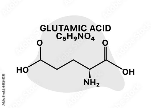 Glutamic Acid C5H9NO4 banner. Chemical element banner. Linear and flat styles. Vector illustration. photo