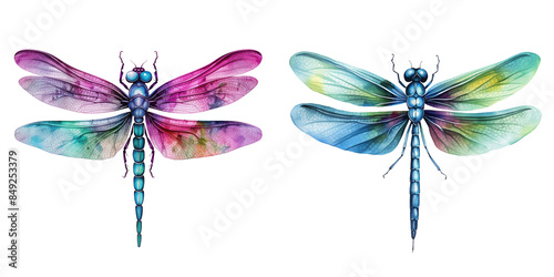 Wallpaper Mural set clipart dragonfly watercolor illustration on transparent background Torontodigital.ca