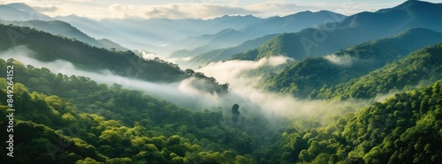 Aerial Top View of Tropical Rainforest Jungle Canopy and Fog-Covered Forest Scene. Majestic Mountains at Dawn, Morning Landscape Background