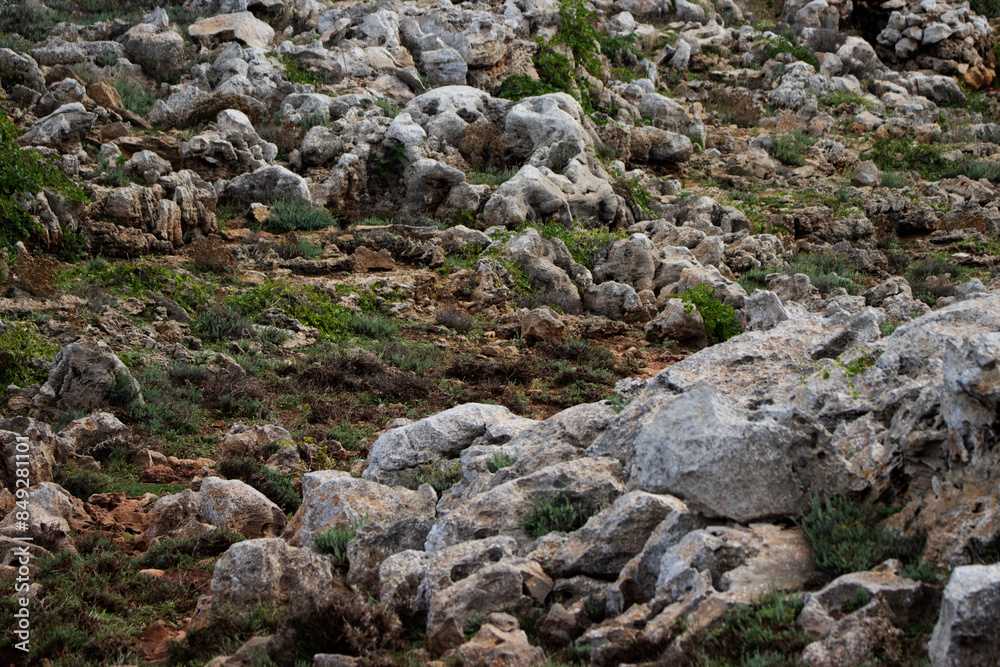typical barren coast line jagged rocks with few green plants in Menorca ...
