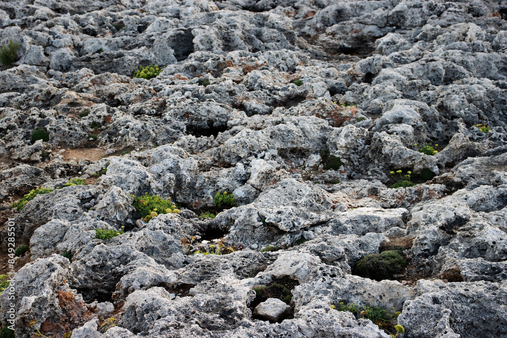 typical barren coast line jagged rocks with few green plants in Menorca ...