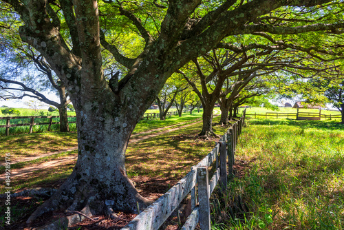 Fazenda IMG_1621