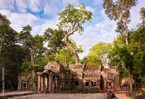 Fototapeta Naklejka Na Ścianę i Meble -  Angkor Thom, ancient temple ruins in Cambodia jungle with tree roots