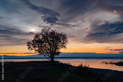 silver clouds with cypress trees in the reflection of the lake on a summer night