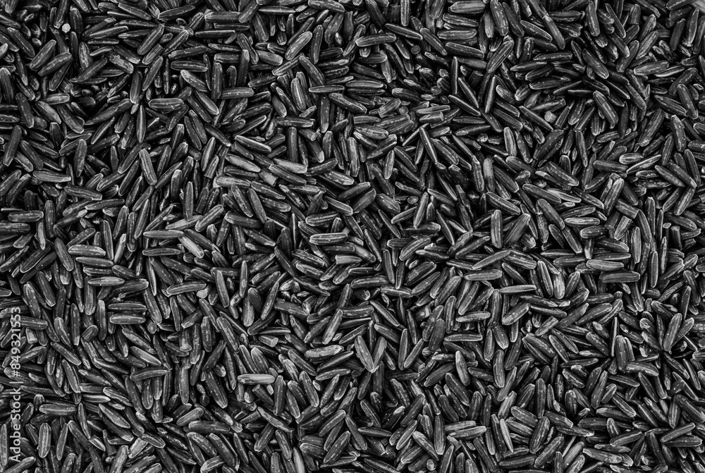 Wild raw black rice groats, food background texture, top view Wild raw black rice groats, food background texture, top view