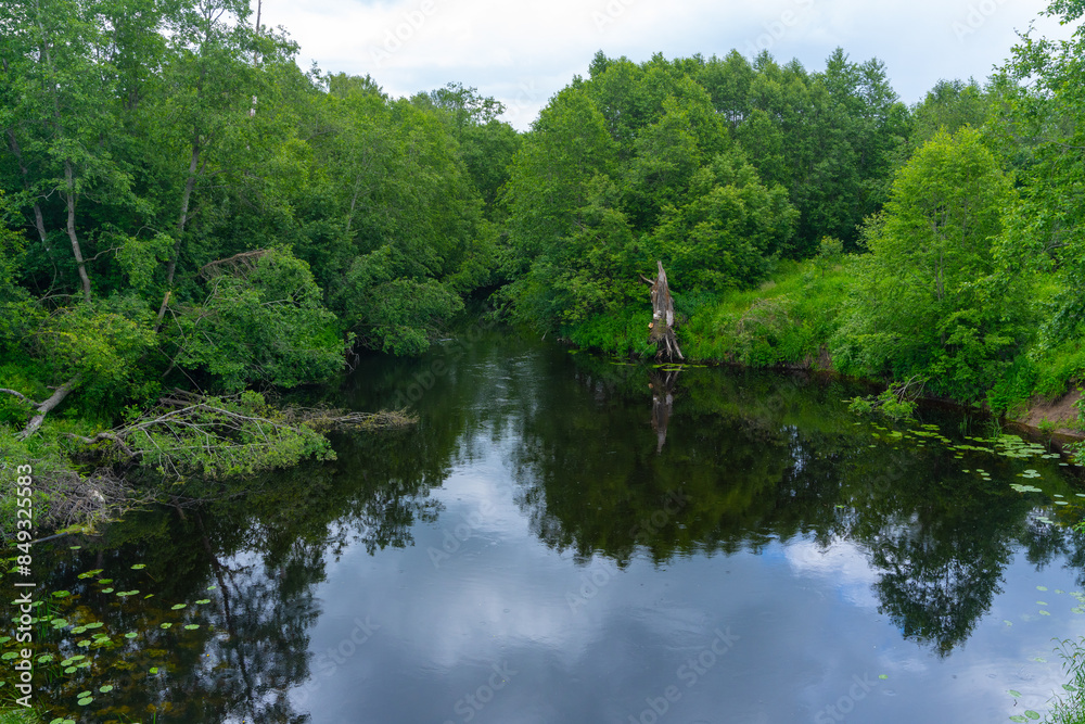 Serene Forest River Scene with Lush Greenery and Reflections. Peaceful Natural Landscape with Calm Waters and Dense Vegetation. Serene Forest River Scene with Lush Greenery and Reflections. Peaceful Natural Landscape with Calm Waters and Dense Vegetation.