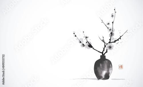 Black vase with cherry blossom branches in traditional sumi-e style on white background. Hieroglyph - well-being