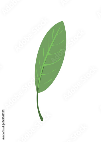 Blatt