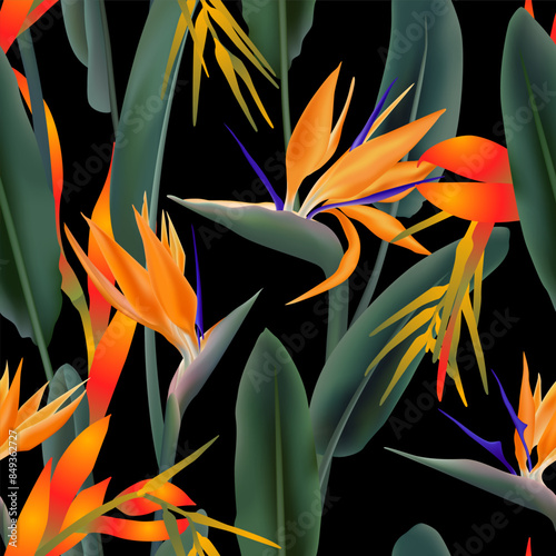 Seamless pattern with palm leaves, bromelia and strelitzia reginae flower kno...