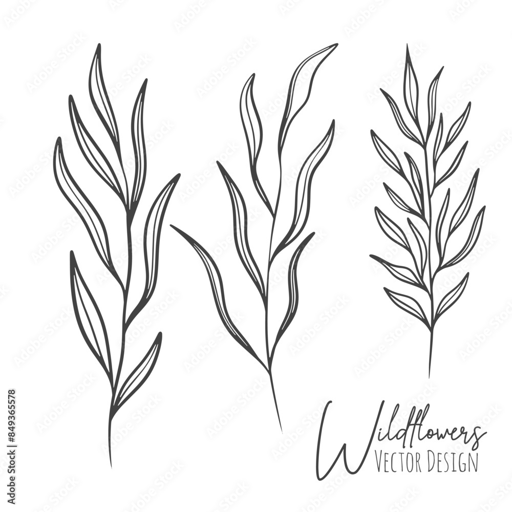 Set of line art wildflowers and grass illustration. Handdrawn botanical contour outline of for wedding, invitation, save the date, card. Trendy elegant greenery collection for web, print, posters. Set of line art wildflowers and grass illustration. Handdrawn botanical contour outline of for wedding, invitation, save the date, card. Trendy elegant greenery collection for web, print, posters.