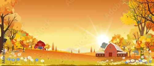Autumn landscape with forest tree background,Cartoon Scene Fall Season Mountain,Meadow,Orange Foliage,Cloud,Yellow Sunset Sky,Vector nature morning sunrise grass field,maple tree,farm land in country