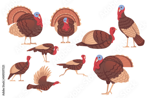Set of Cute turkey bird cartoon animal design vector illustration isolated on white background
