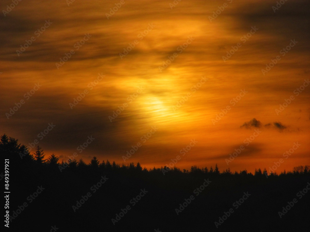Golden Sunrise over Forest Horizon Golden Sunrise over Forest Horizon