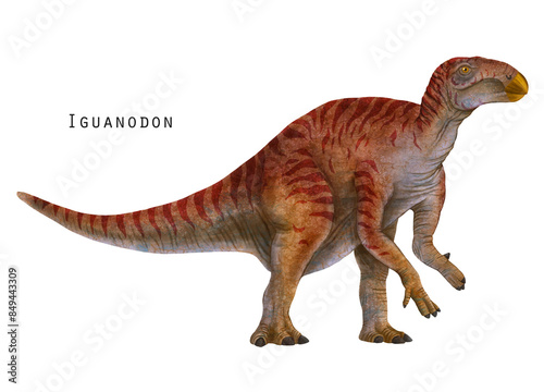 Fototapeta Naklejka Na Ścianę i Meble -  Iguanodon illustration. herbivorous dinosaur. Red dino art