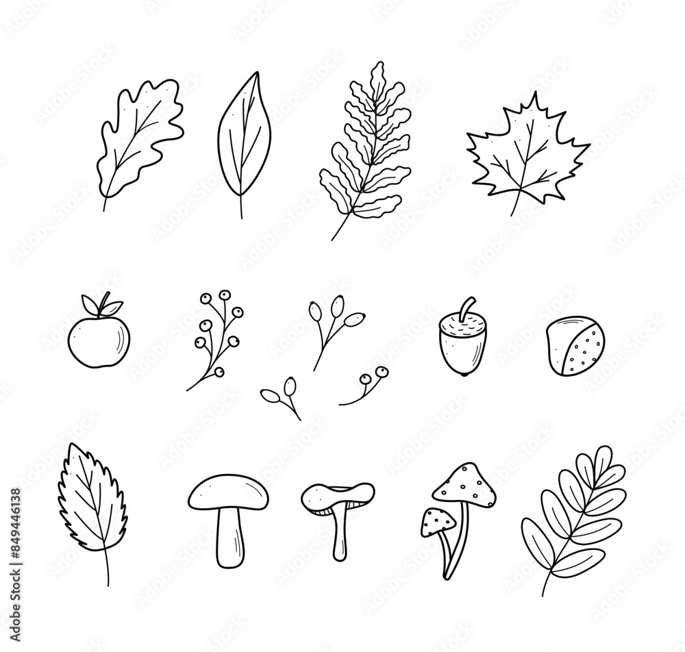 Autumn doodle icon set. Vector illustration of leaves acorns mushrooms apple chestnut berries. Sketch elements of fall.