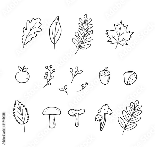 Autumn doodle icon set. Vector illustration of leaves acorns mushrooms apple chestnut berries. Sketch elements of fall.