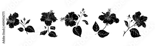 Collection of silhouettes, stamps of flowers and hibiscus buds. Vector graphics.