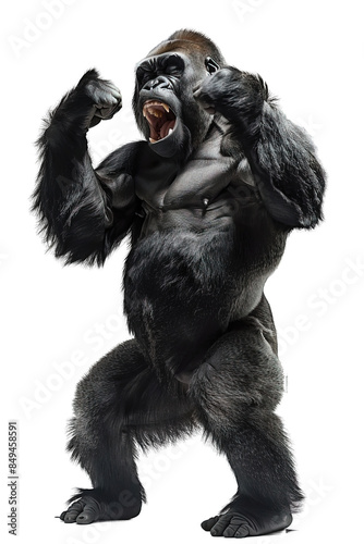 angry gorilla isolated on transparent background ,standing angry gorilla ,generative ai
