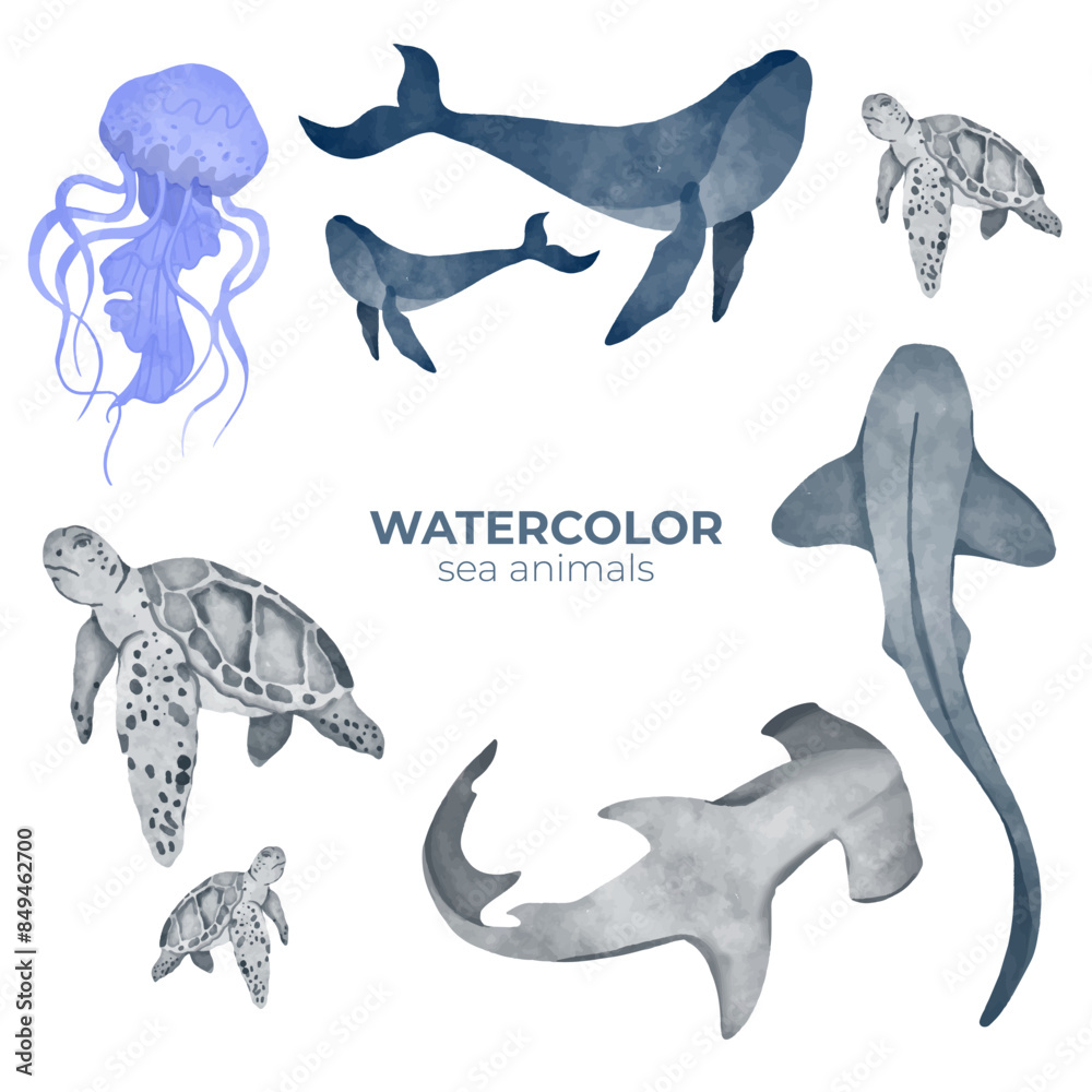 Fototapeta premium Vector Watercolor set of animals sea