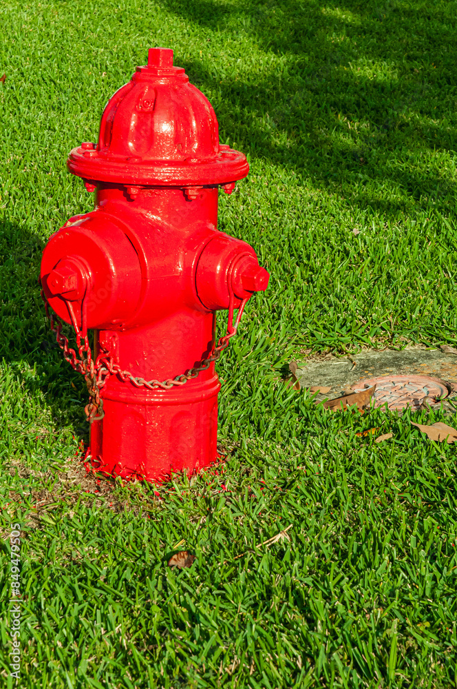 Front view, medium distance of, a red fire hydrant, on sunny, grass location Front view, medium distance of, a red fire hydrant, on sunny, grass location