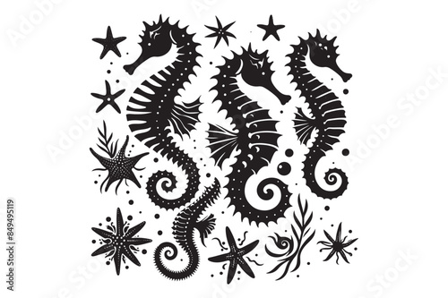 Seahorses and starfish silhouette Vector Illustration 