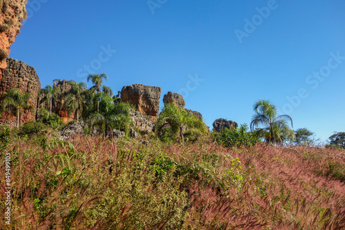 sandstone geological monuments, or Arenitos, in Vila Velha State Park. Ponta Grossa, Parana, Brazil photo