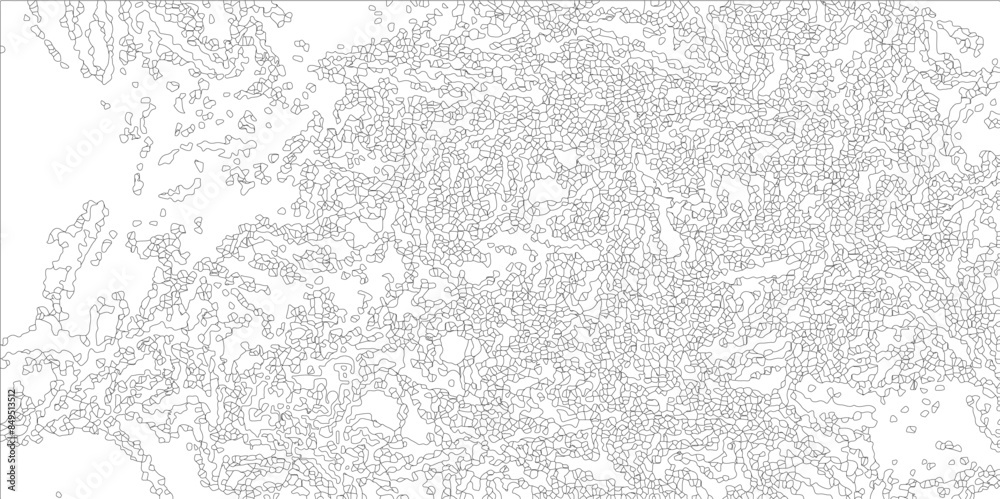 Abstract lines in black and white tones create many squares and rectangle shapes, alongside a metal grid isolated on a white background. Contemporary tessellation tile. Digital background idea. Abstract lines in black and white tones create many squares and rectangle shapes, alongside a metal grid isolated on a white background. Contemporary tessellation tile. Digital background idea.