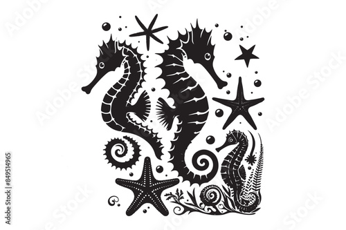 Seahorses and starfish silhouette Vector Illustration 