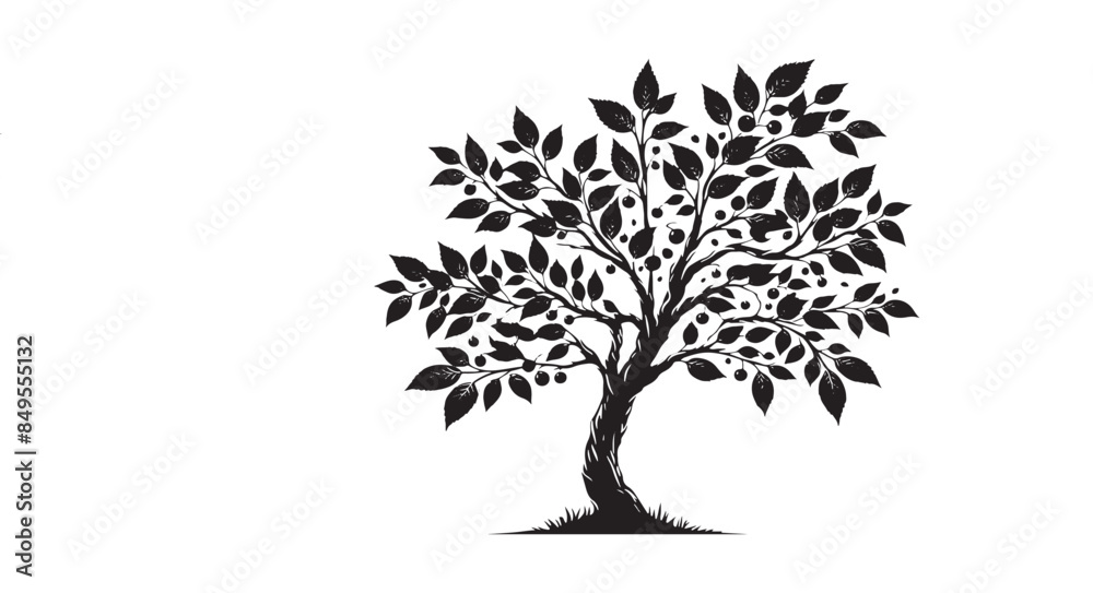 Fototapeta premium Tree Silhouette Vector Illustration