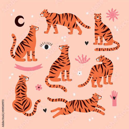 tigers set