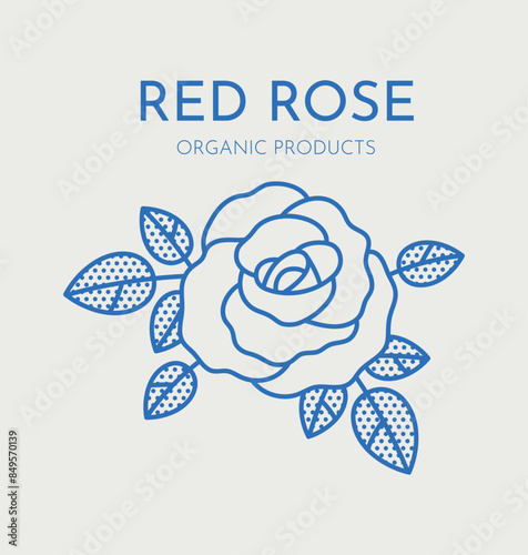 Hand drawn vector rose illustration. Line art, retro. Plants and herbs for cosmetics. Logo template.