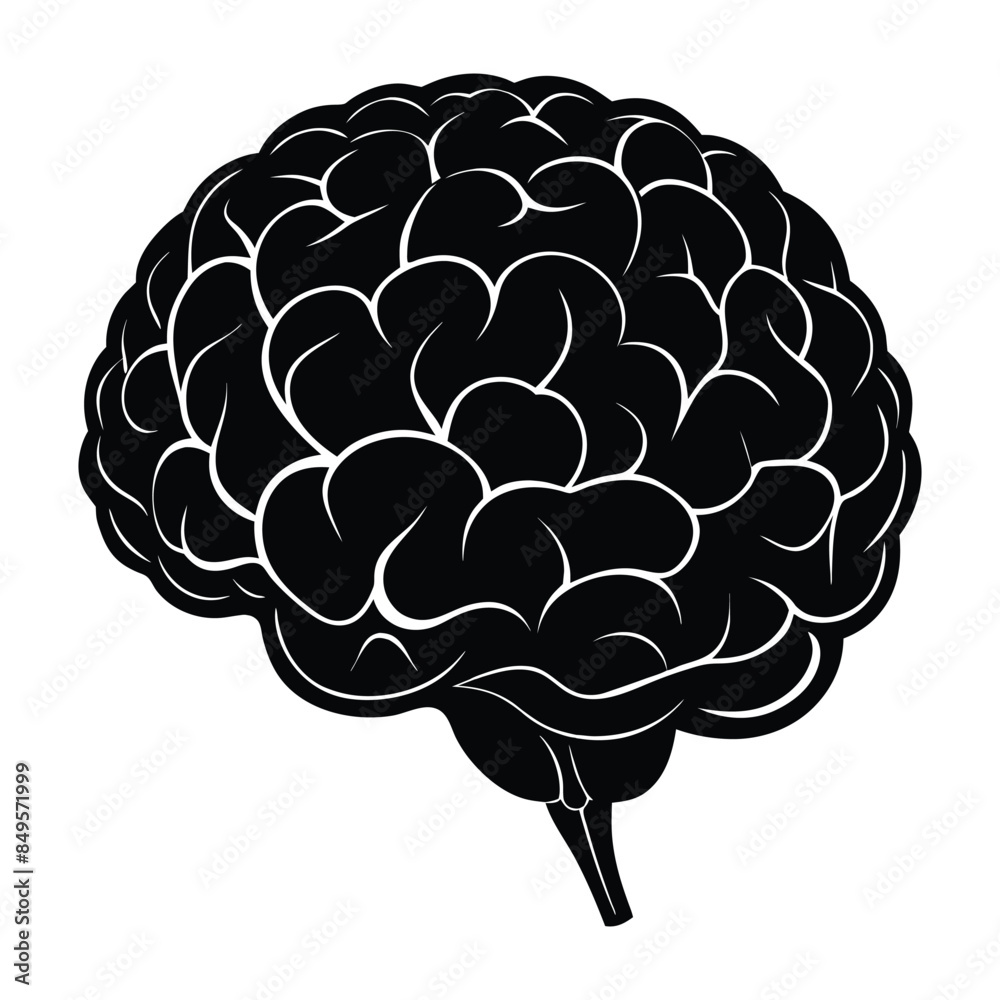 Detailed Vector Brain Illustration in Black and White - High Quality Anatomy Graphic for Educational and Medical Use Detailed Vector Brain Illustration in Black and White - High Quality Anatomy Graphic for Educational and Medical Use