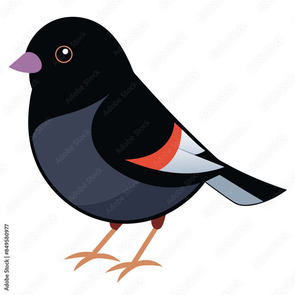 Obraz premium Solid color Dark Eyed Junco animal vector svg
