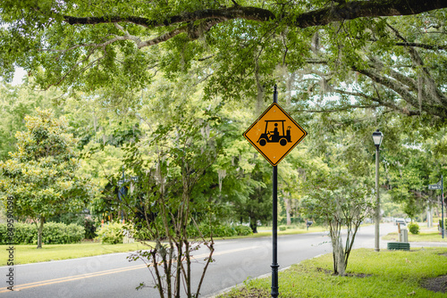 Golf Cart crossing sign on a black pole on a beautiful road with a tree canopy, horizontal 