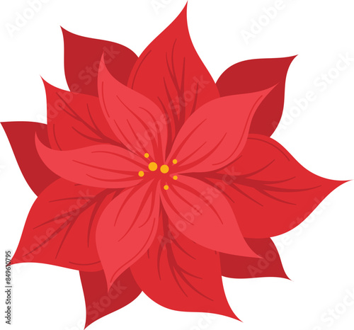 Vector illustration vibrant red poinsettia flower blossoming isolated white background. Botanical digital art showing details petals yellow flower center. Red bloom icon symbol December holidays