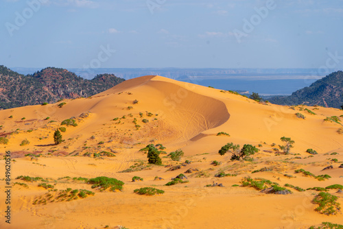 Coral Pink Sand Dunes State Park, Kanab, USA