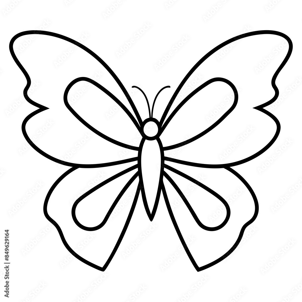 Butterfly line art, minimalist, illustration